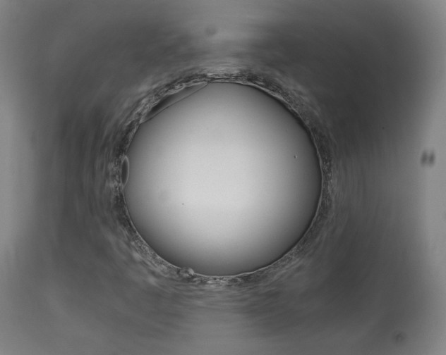 X0000113911445200909241254