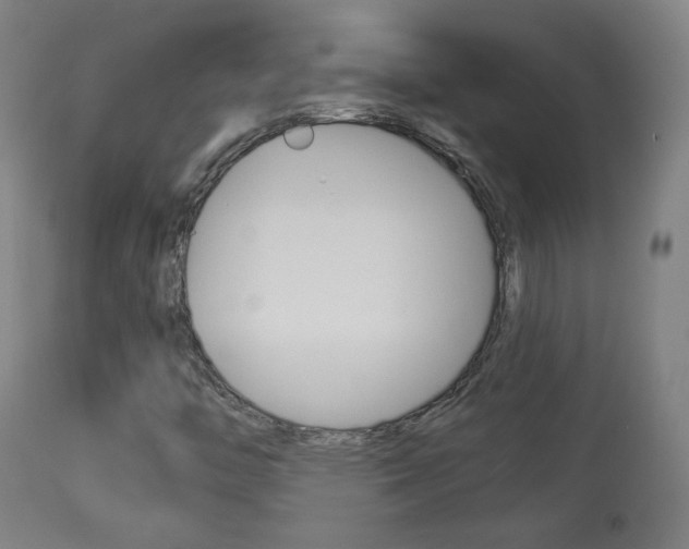 X0000113911446200909241254