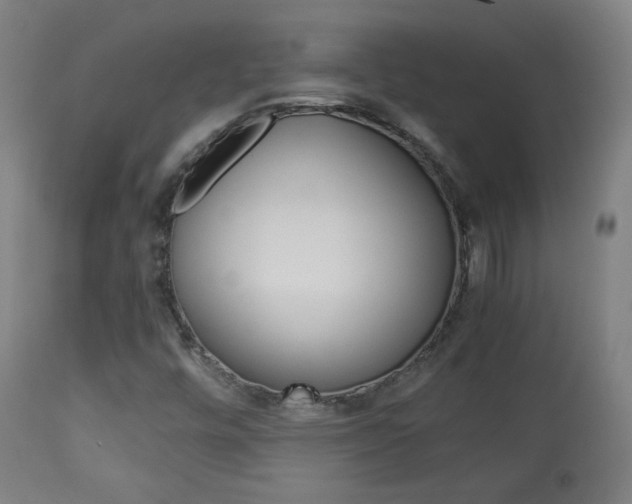 X0000113911448200909241254
