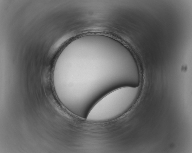 X0000113911450200909241254