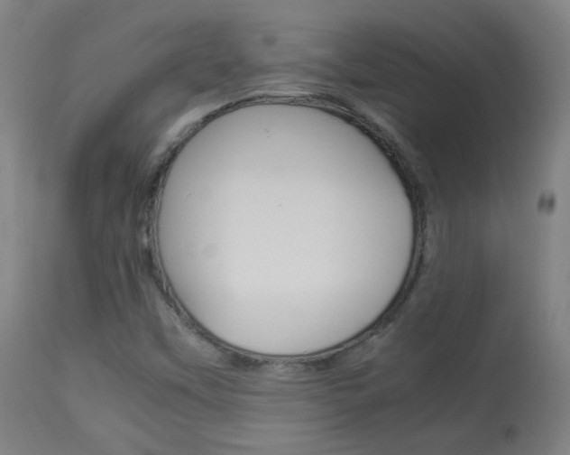 X0000113911451200909241254