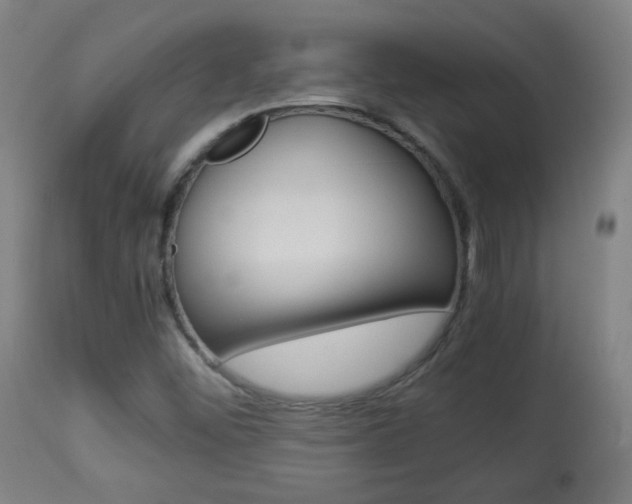 X0000113911452200909241254