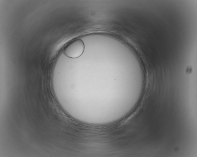 X0000113911453200909241254