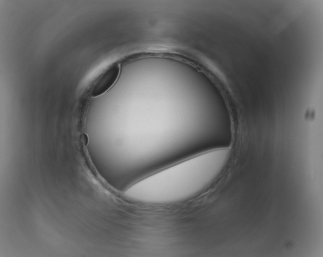X0000113911456200909241254