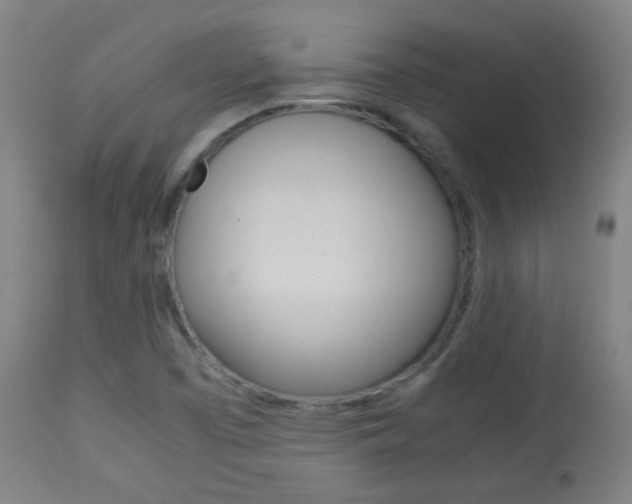 X0000113911457200909241254
