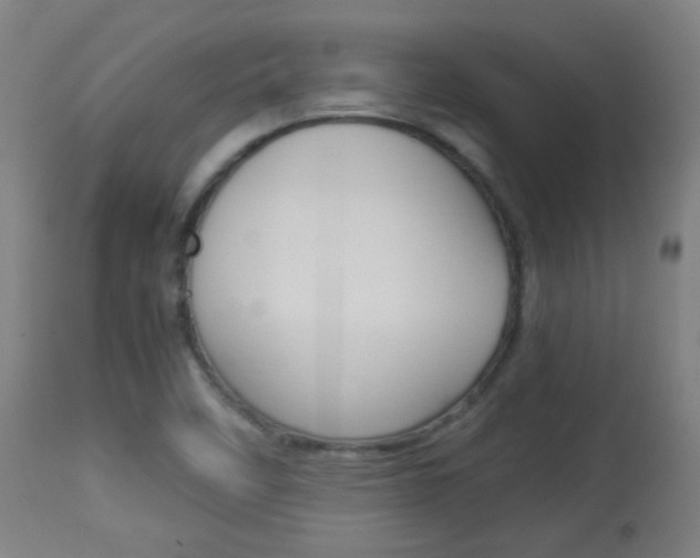 X0000113911458200909241254