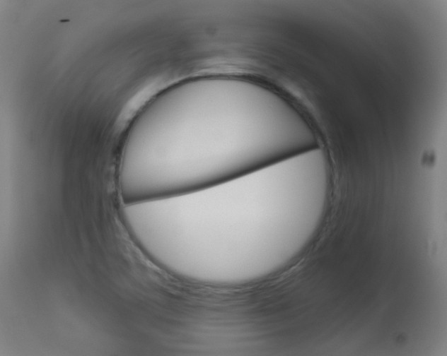 X0000113911459200909241254