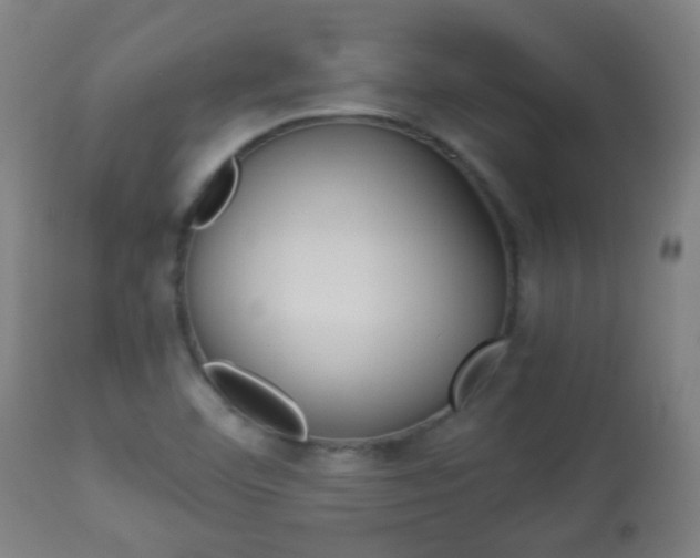 X0000113911460200909241254