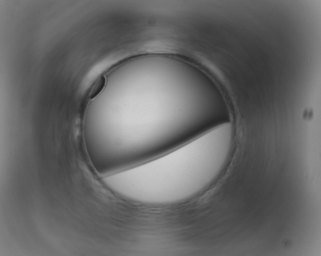 X0000113911461200909241254