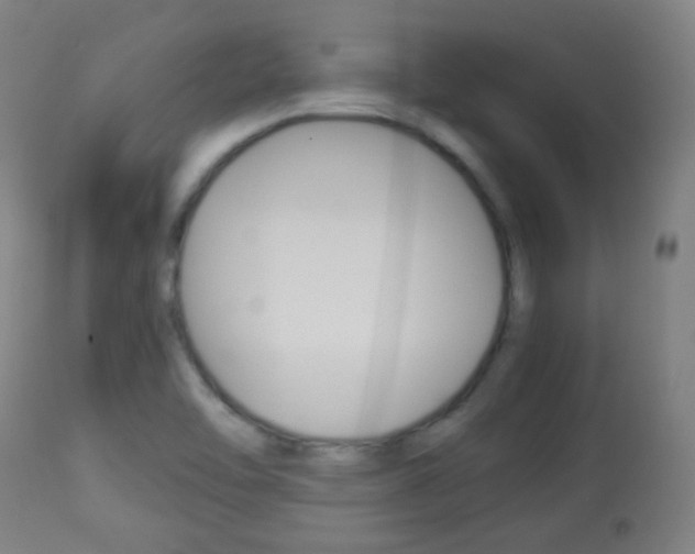 X0000113911462200909241254