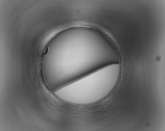 X0000113911463200909241254