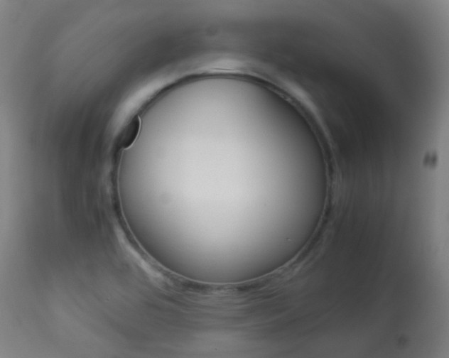 X0000113911464200909241254
