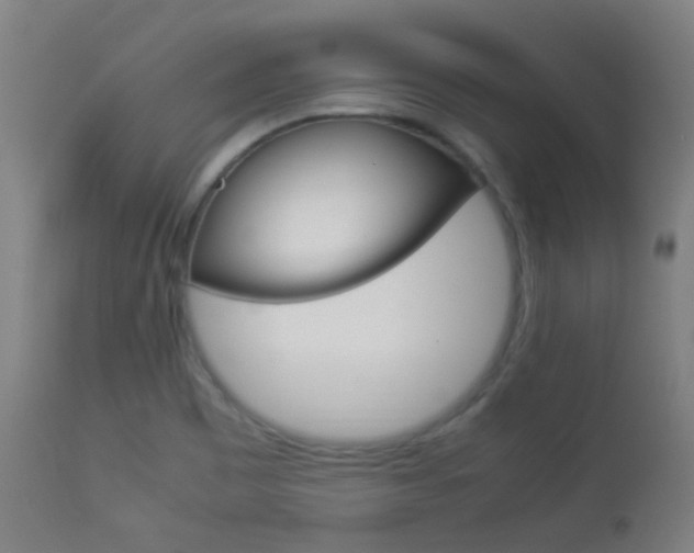 X0000113911465200909241254