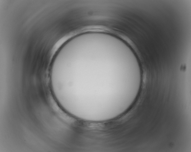 X0000113911466200909241254