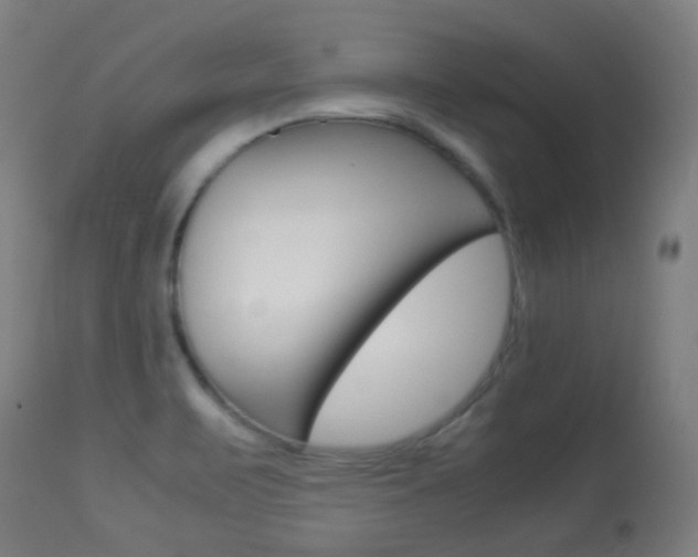 X0000113911471200909241253