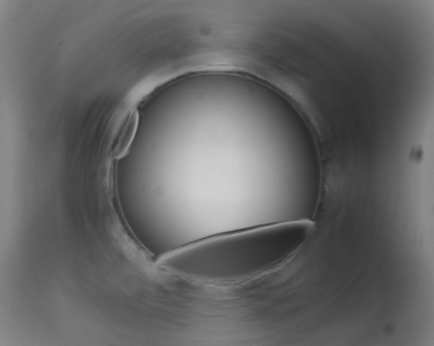 X0000113911472200909241253