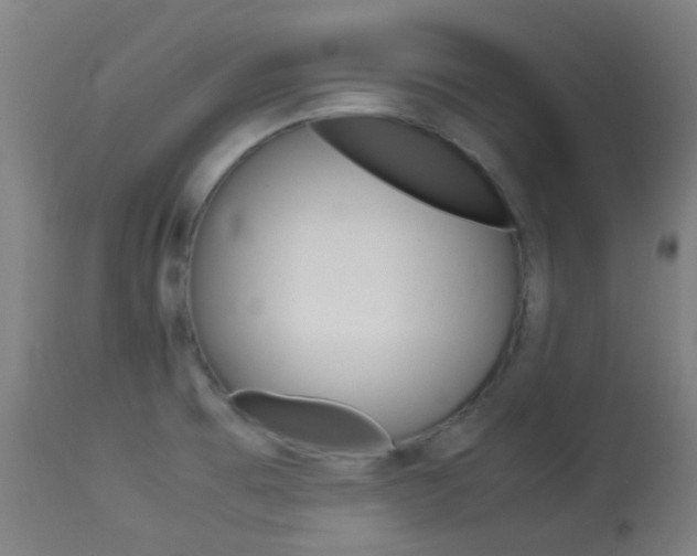 X0000113911473200909241253
