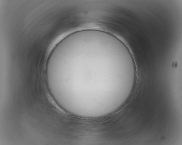 X0000113911477200909241253
