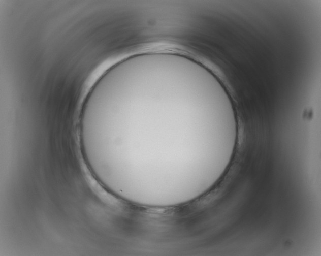 X0000113911478200909241253