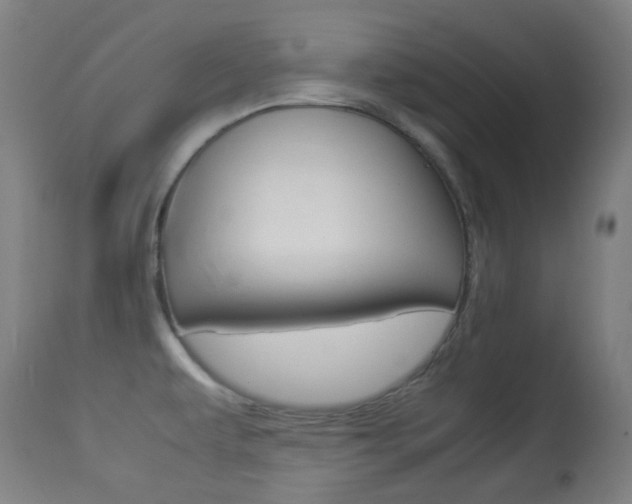 X0000113911479200909241253