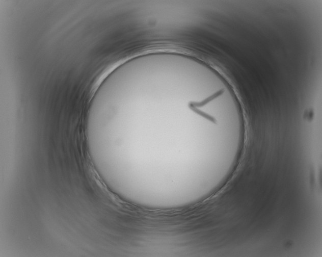 X0000113911481200909241253