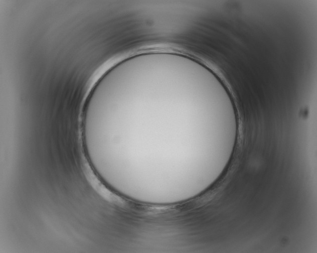X0000113911482200909241253