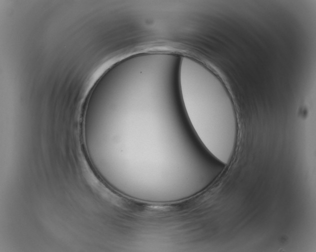 X0000113911483200909241253