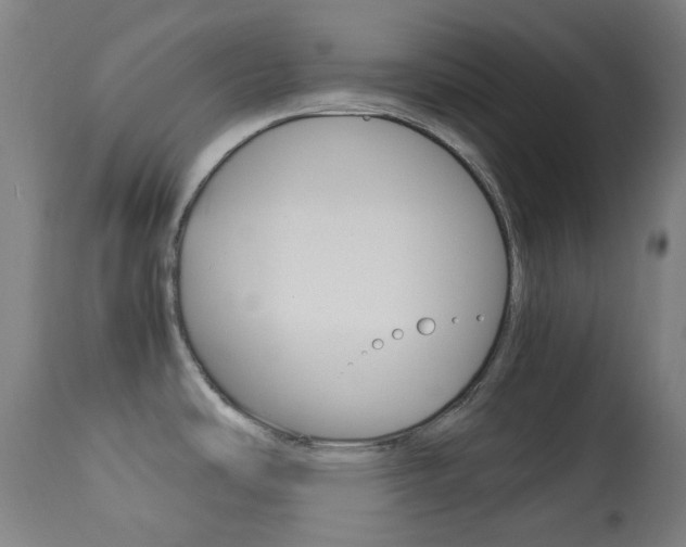 X0000113911486200909241253