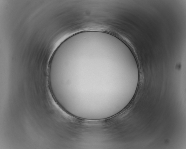 X0000113911487200909241253
