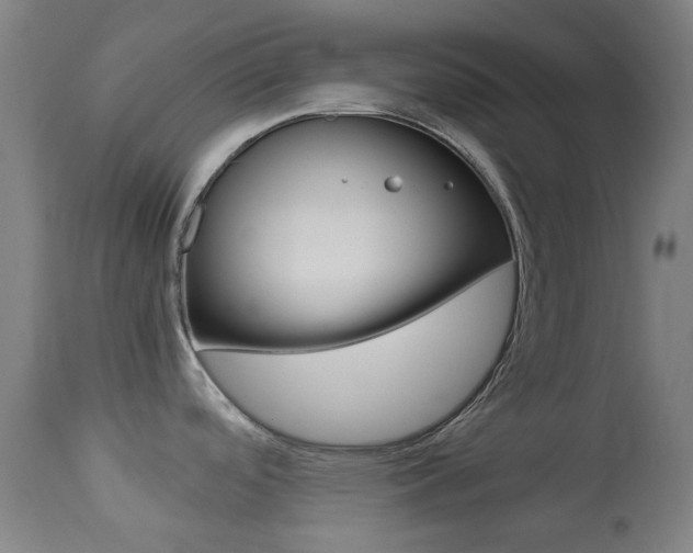 X0000113911488200909241253
