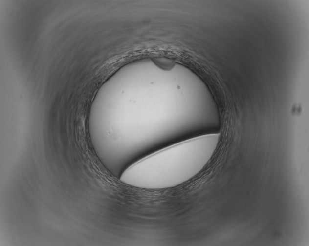 X0000113911489200909241252