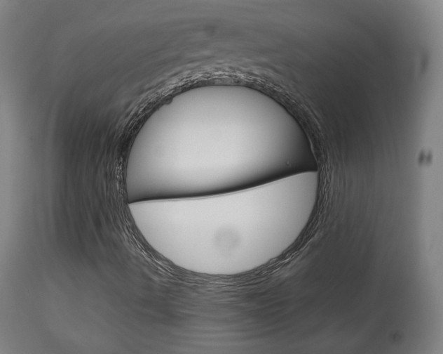 X0000113911490200909241253