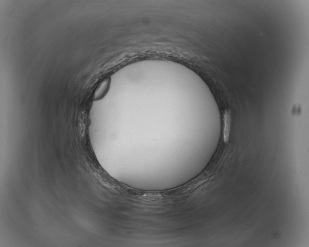 X0000113911491200909241253