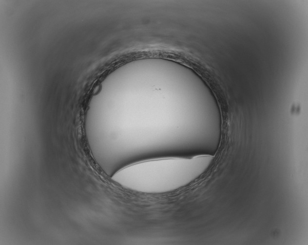 X0000113911493200909241253
