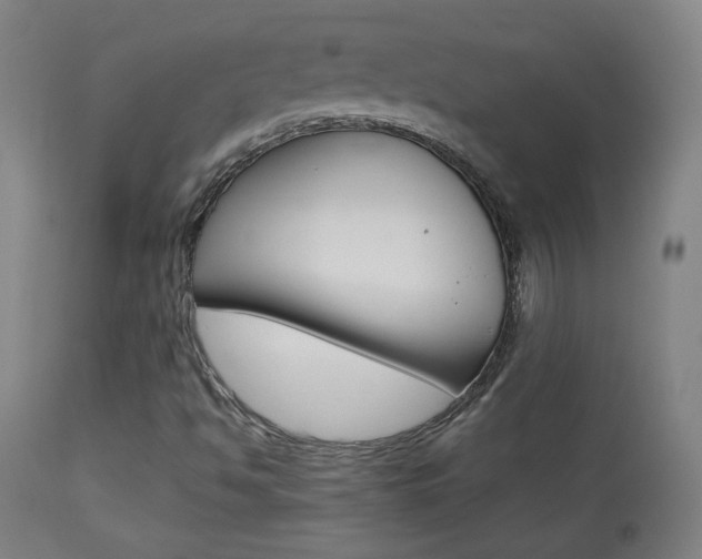 X0000113911494200909241253