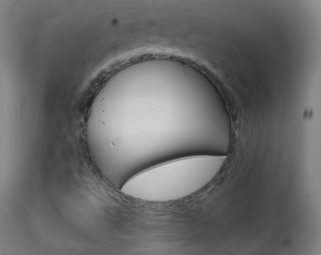 X0000113911495200909241253