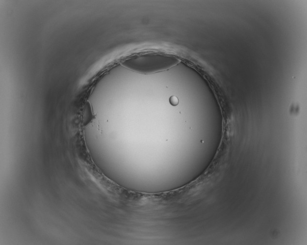 X0000113911496200909241253