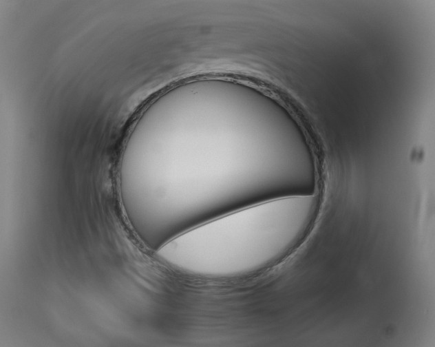 X0000113911497200909241253