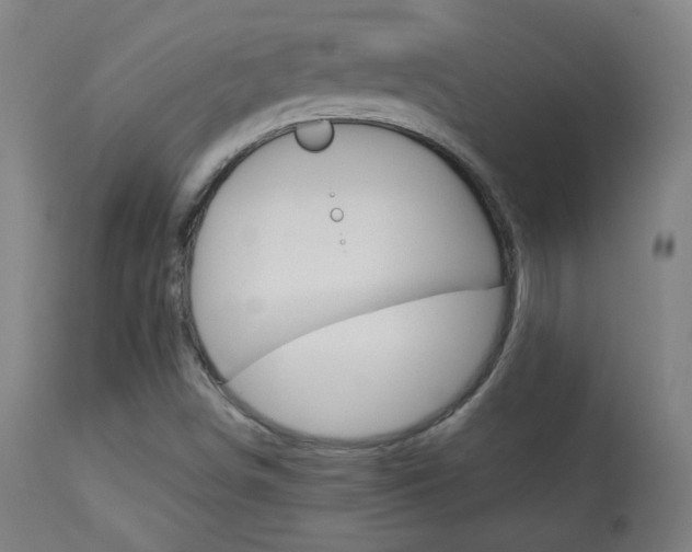 X0000113911498200909241253