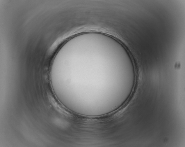 X0000113911499200909241253