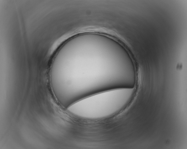X0000113911501200909241253
