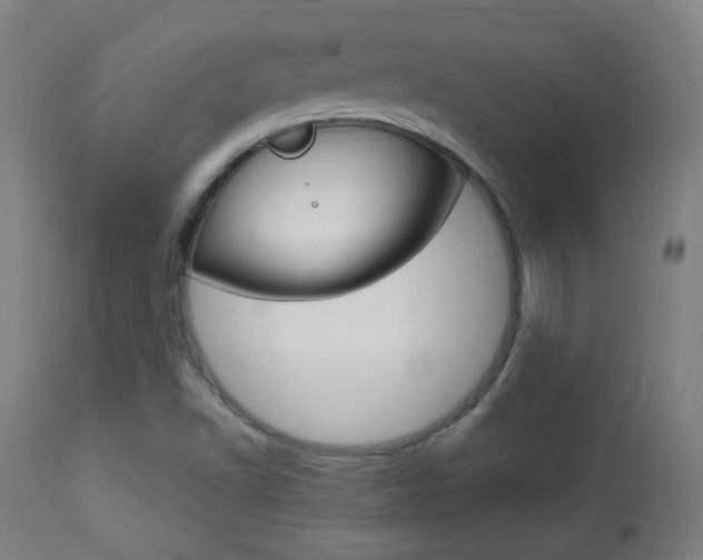 X0000113911502200909241253