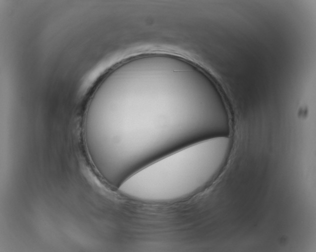 X0000113911503200909241253