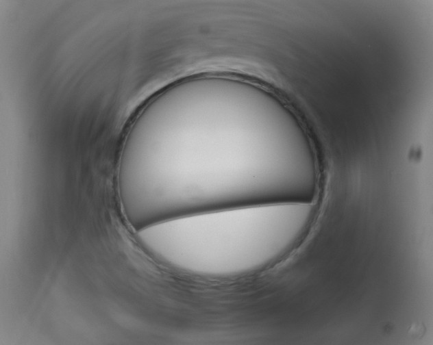 X0000113911505200909241253