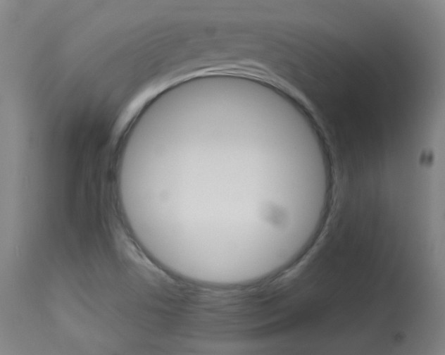 X0000113911506200909241253