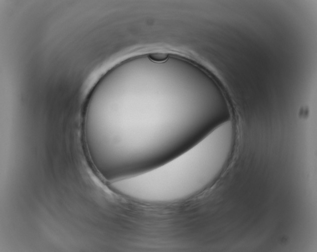 X0000113911508200909241253