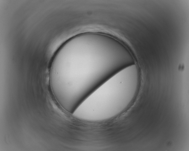 X0000113911509200909241253
