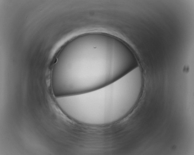 X0000113911510200909241253