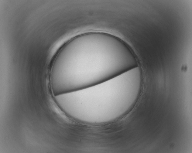 X0000113911511200909241253