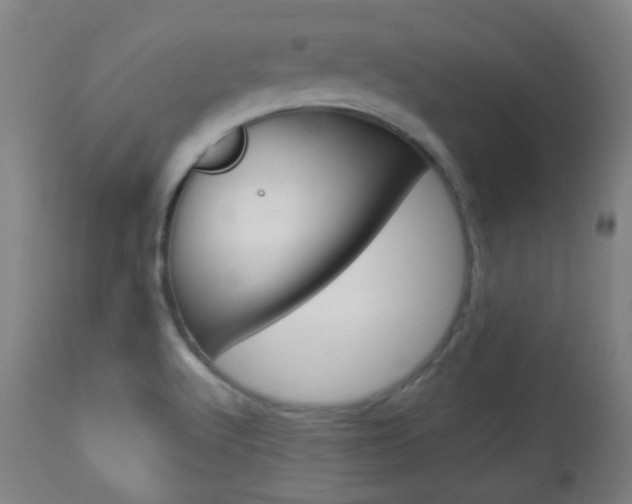 X0000113911512200909241253